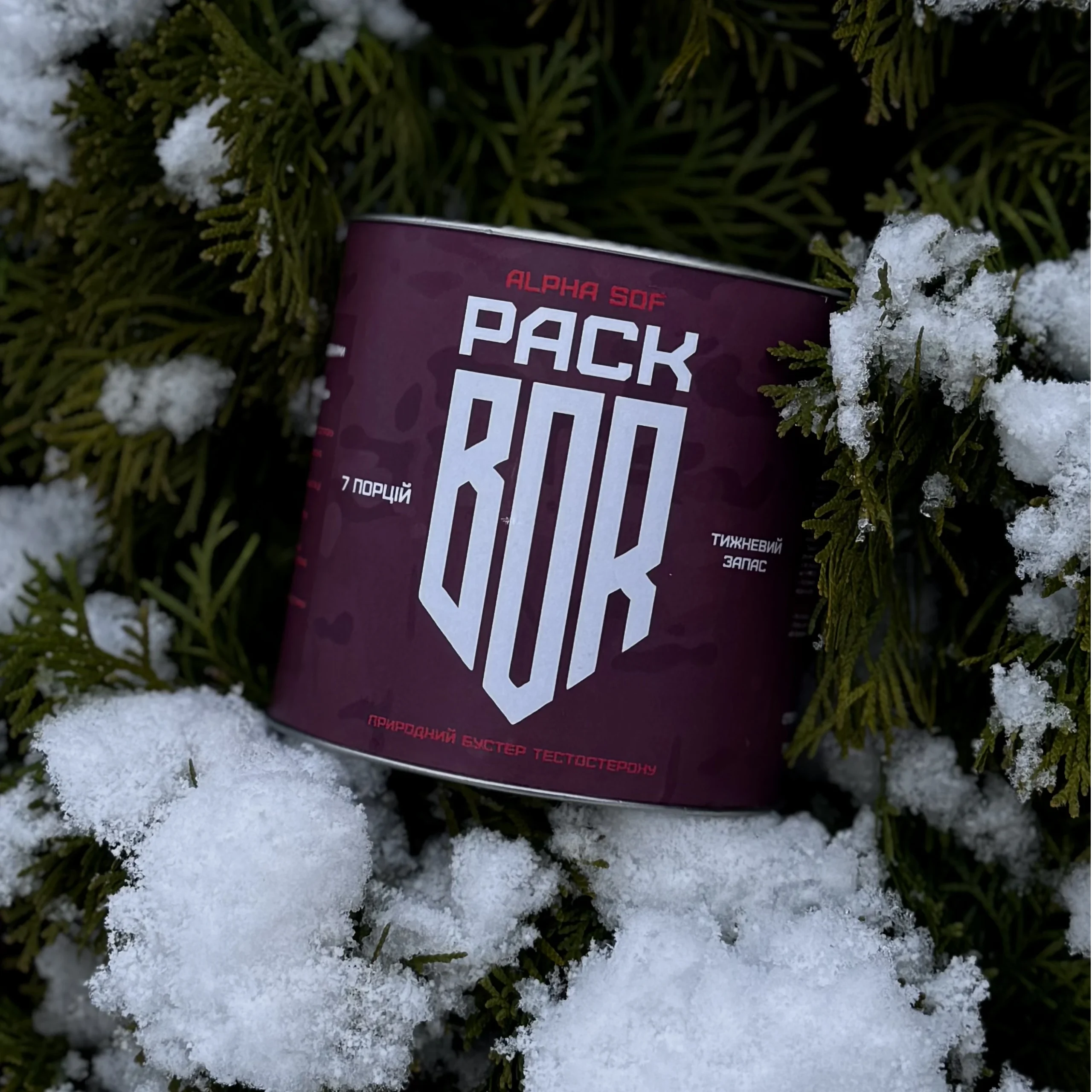 Mini Alpha - зима